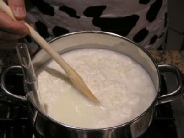 ricotta home made xx06 ricotta home made xx06